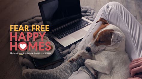 Fear free happy homes - fearfreehappyhomes.com